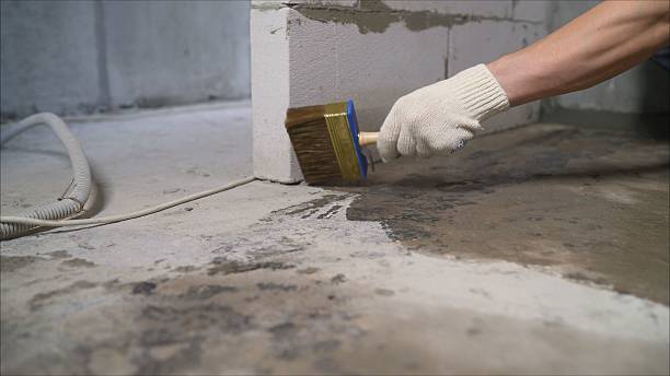 24/7 Emergency Basement Waterproofing experts in Daleville, AL